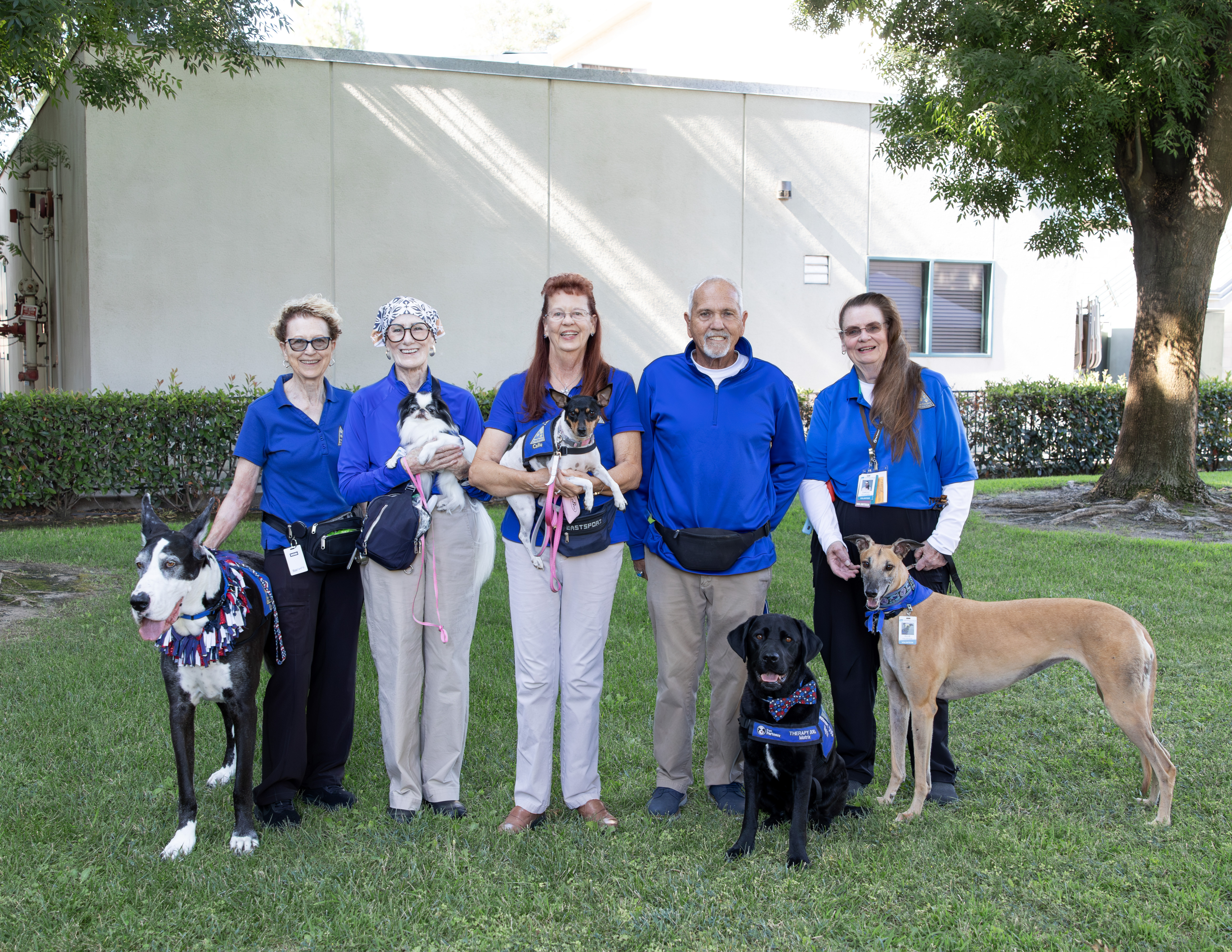Group of five volunteers with their dogs