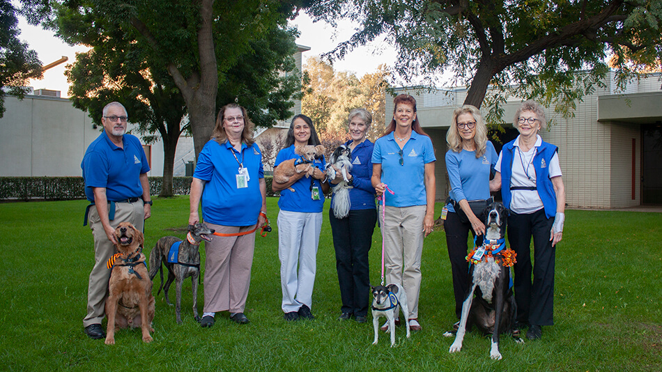 group of seven volunteers with their dogs